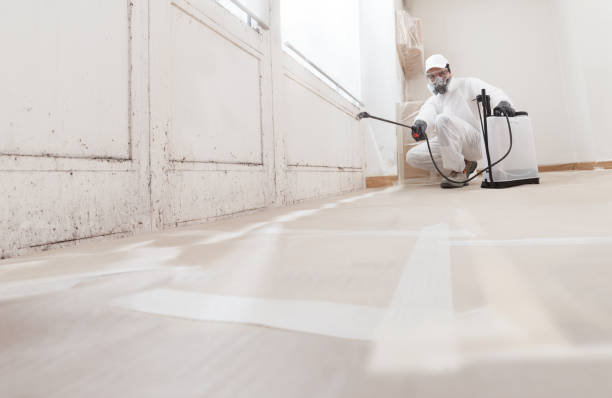 Black mold remediation team in West Babylon